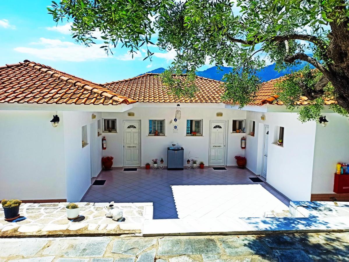 Studios Maria Chrysi Ammoudia Extérieur photo